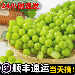 阳光玫瑰葡萄晴王新鲜无籽香印青提水果礼盒当季整箱批发顺丰中秋